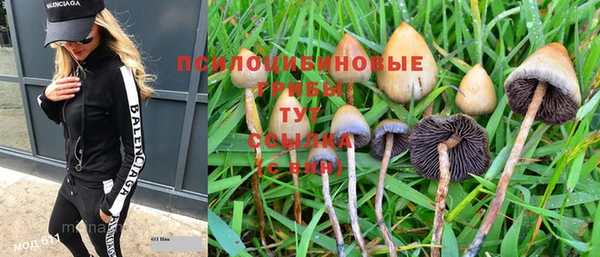 экстази Снежногорск