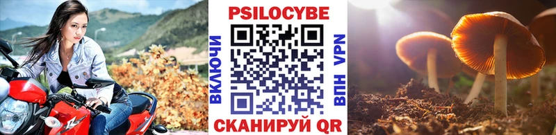 Купить закладки  Кадников  Галлюциногенные грибы прущие грибы 