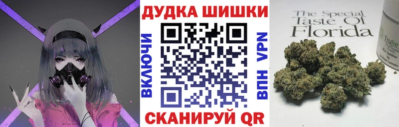 Купить закладки  Кадников  Бошки Шишки сатива 
